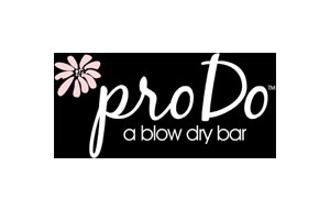 Pro Do A Blow Dry Bar